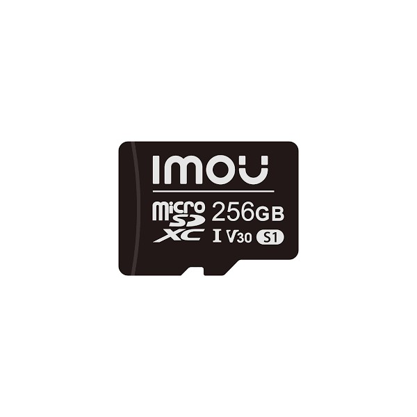 MICRO SD CARD 256 GO CLASSE 10