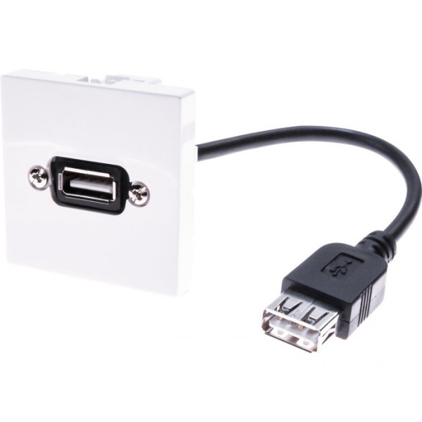 PLASTRON USB A/A - FEMELLE/FEMELLE