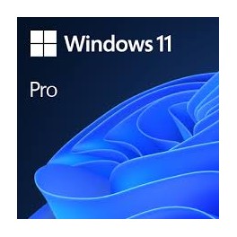WINDOWS 11 PRO 64 BITS